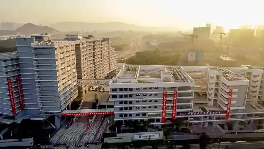 1723531188689523.jpg 2.jpg