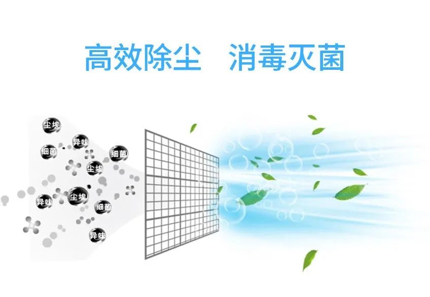 1723531222577541.jpg 5.jpg